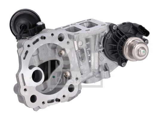 EGR Valve